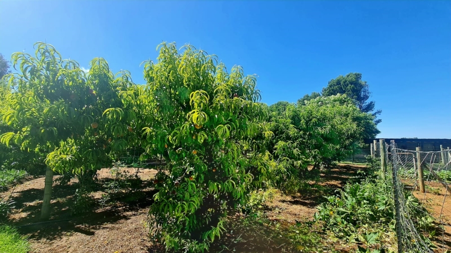 Commercial Property for Sale in Bainsvlei Free State